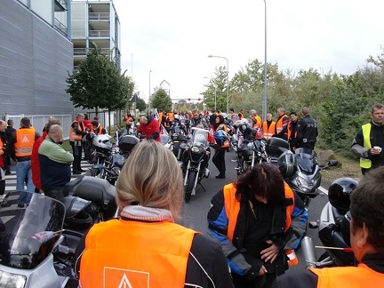 stefakorso 15