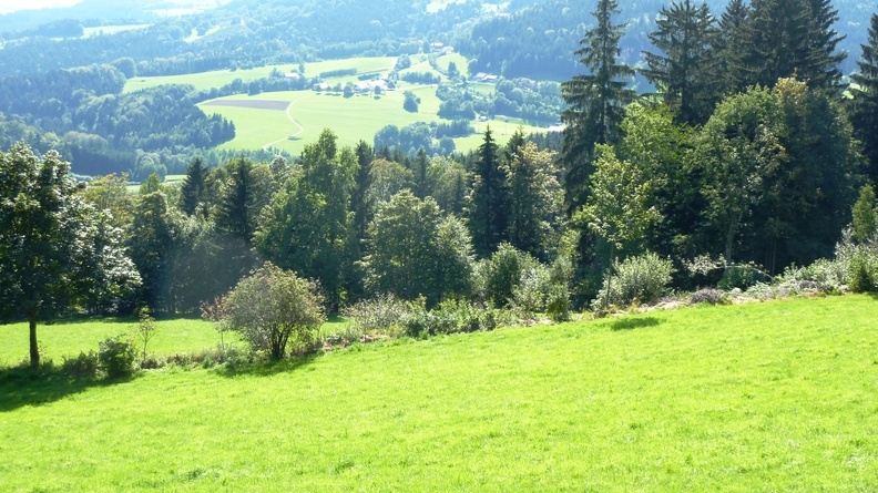 Bayerischer Wald 2011-RW15.JPG