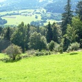 Bayerischer Wald 2011-RW15