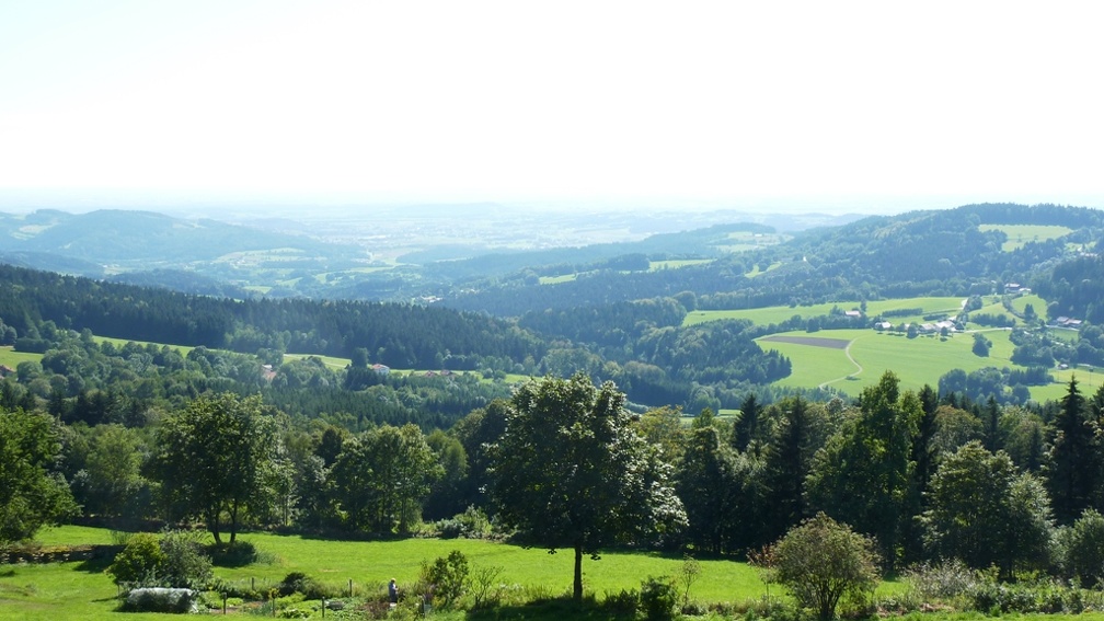 Bayerischer Wald 2011-RW18