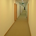 DSC 0081 