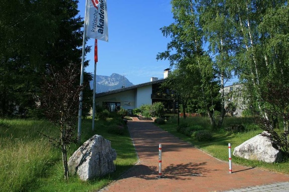 IMG 0006