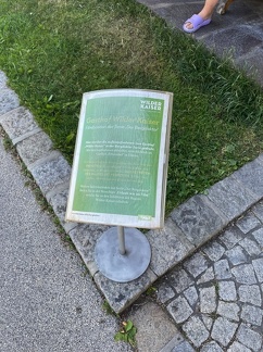 Tom Bleile - Treffen-Schliersee-2022 20