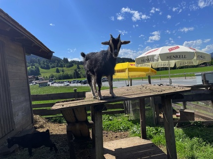 Tom Bleile - Treffen-Schliersee-2022 25