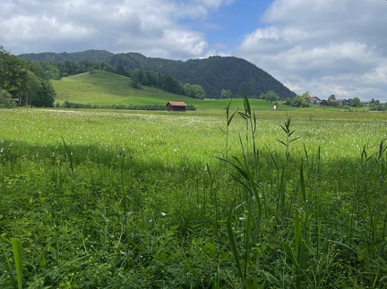 Tom Bleile - Treffen-Schliersee-2022 29