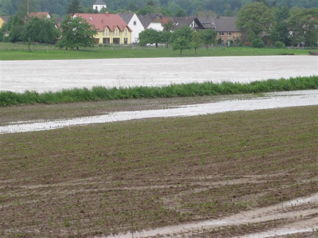 IMG_1816.JPG