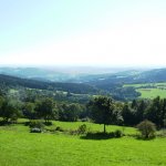 Bayerischer Wald 2011-RW17